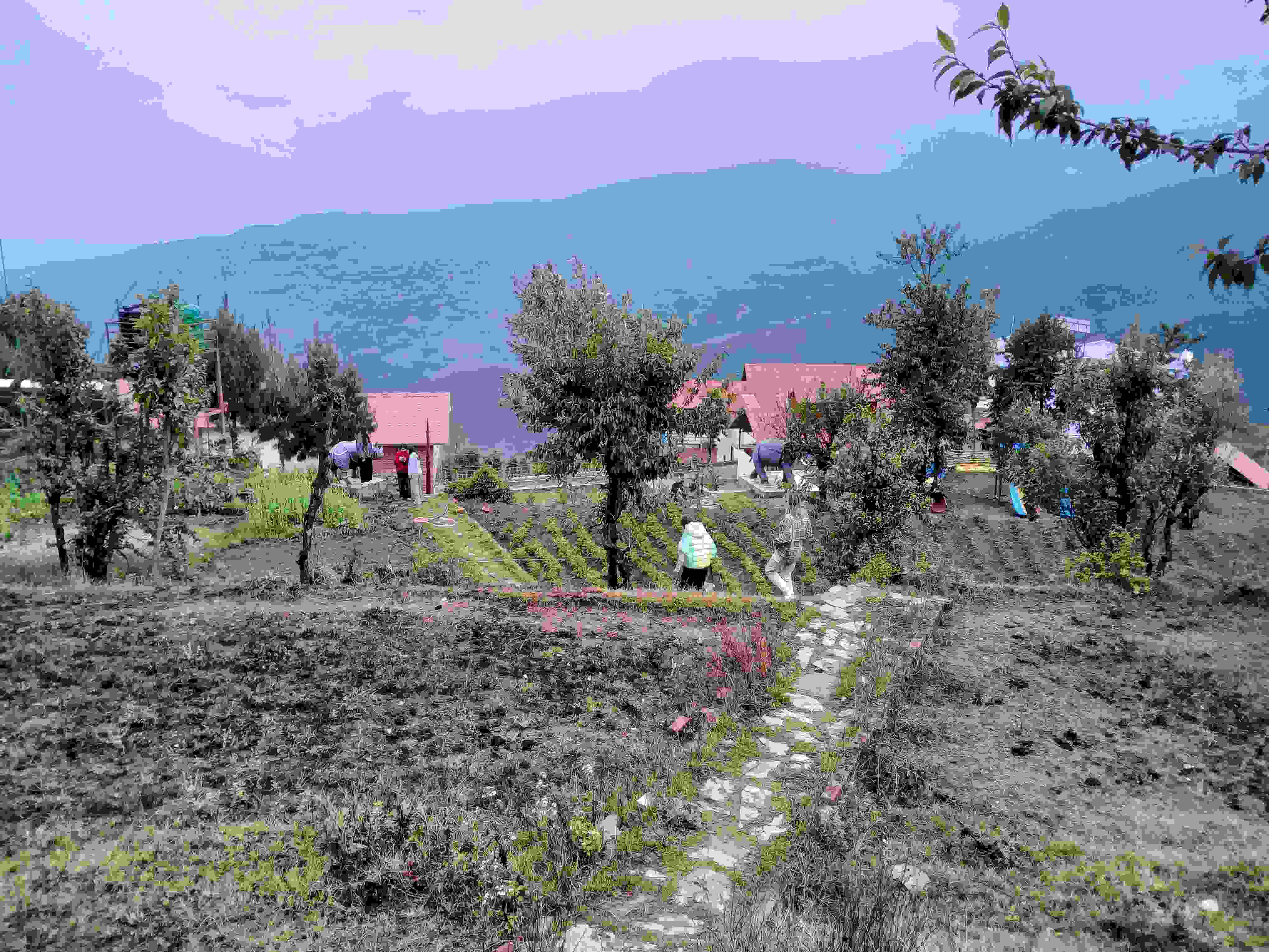Resort img 39